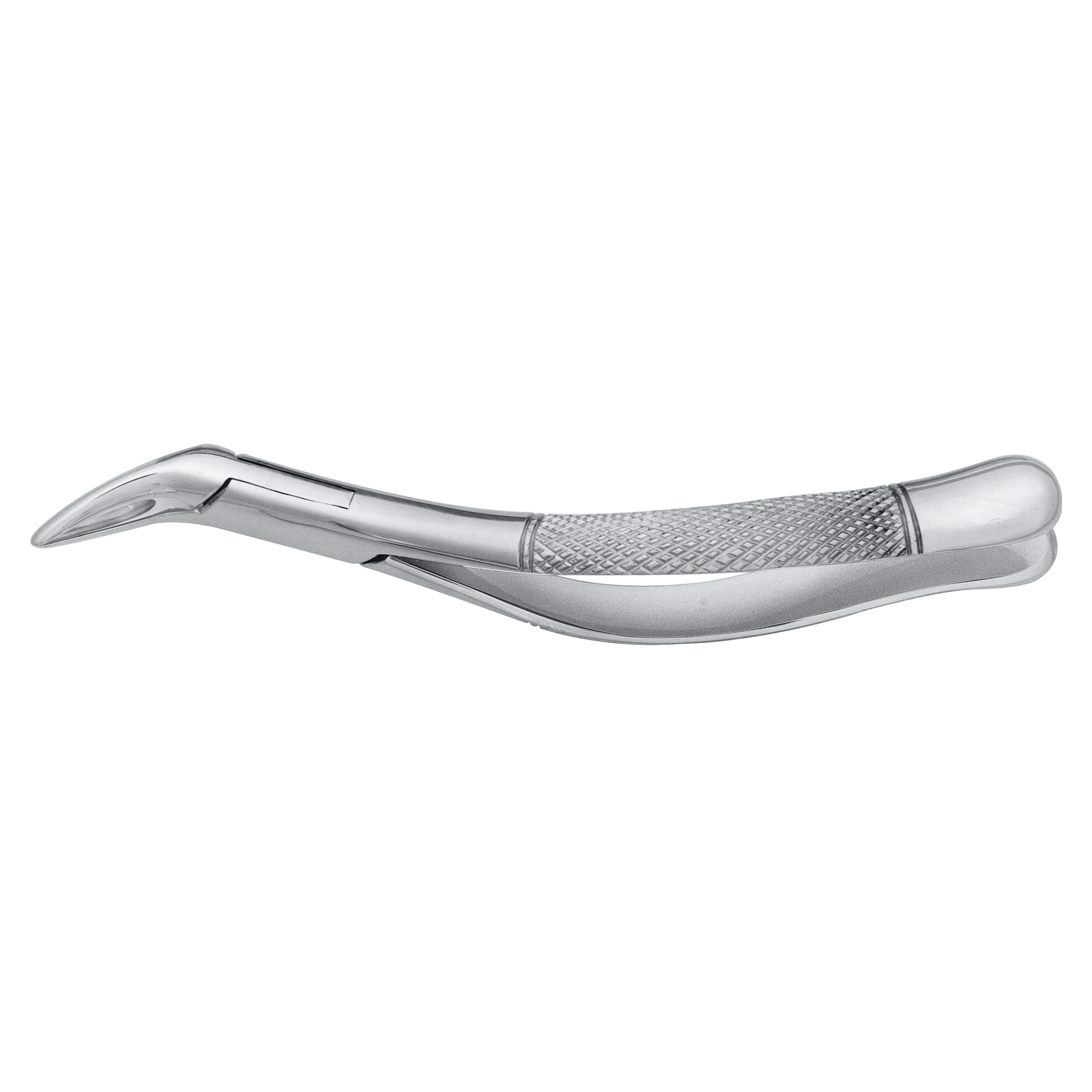 250-69 (root forcep)