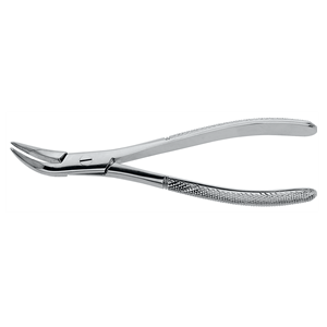 164 (root forcep)